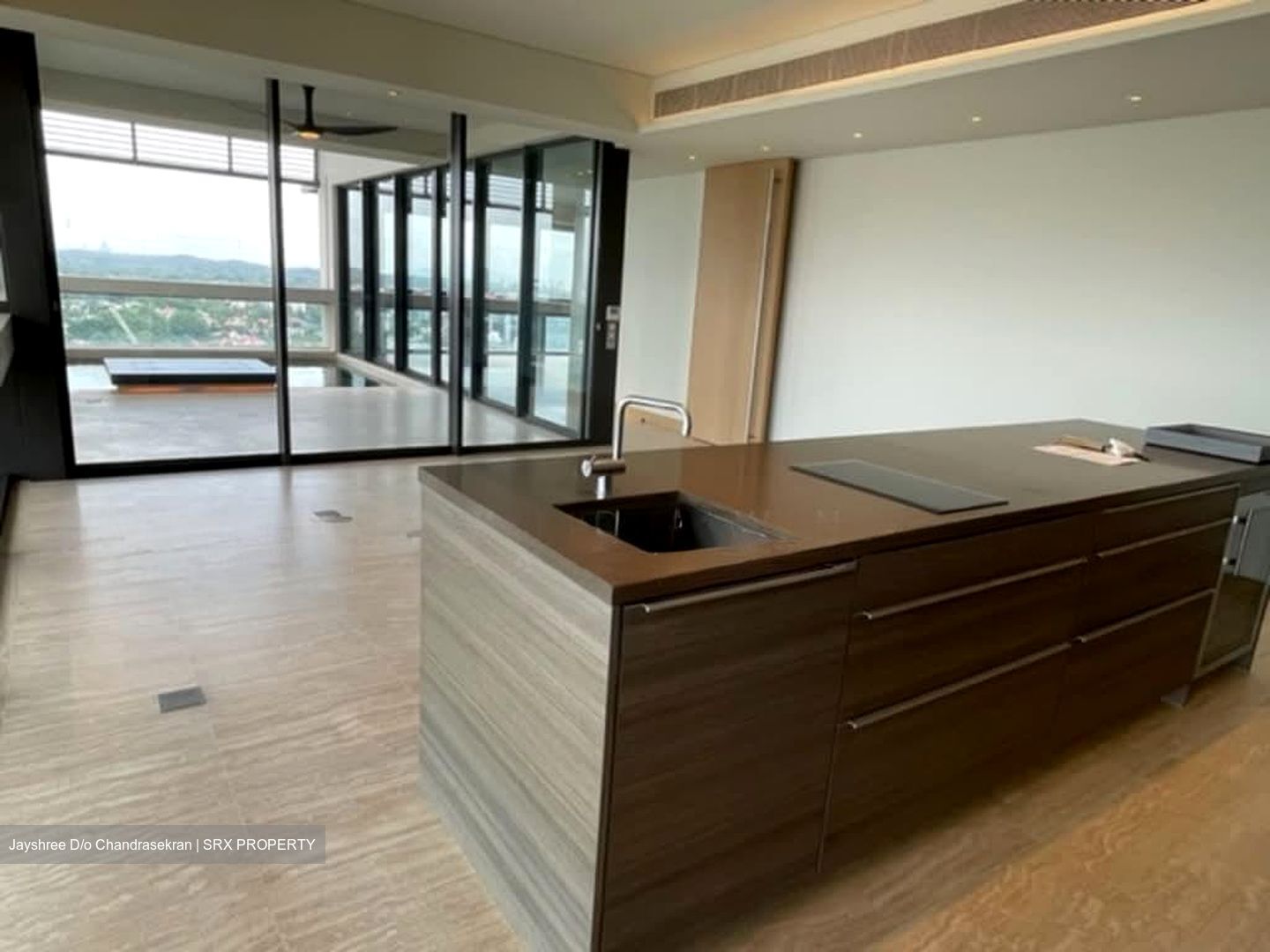 Hana (D10), Condominium #538976771